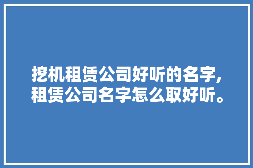 挖机租赁公司好听的名字,租赁公司名字怎么取好听。