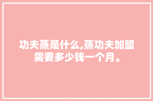 功夫蒸是什么,蒸功夫加盟需要多少钱一个月。
