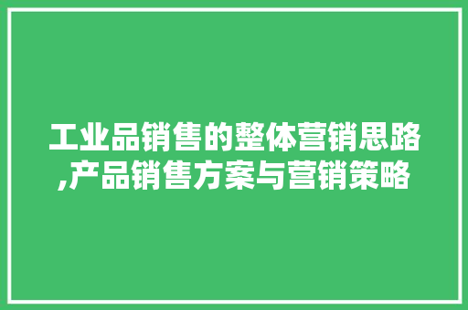 工业品销售的整体营销思路,产品销售方案与营销策略模板怎么写。