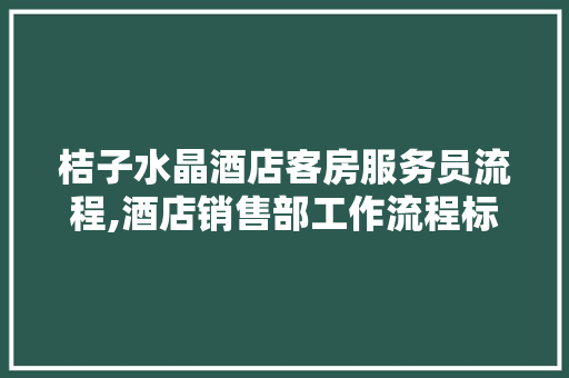 桔子水晶酒店客房服务员流程,酒店销售部工作流程标准要求。