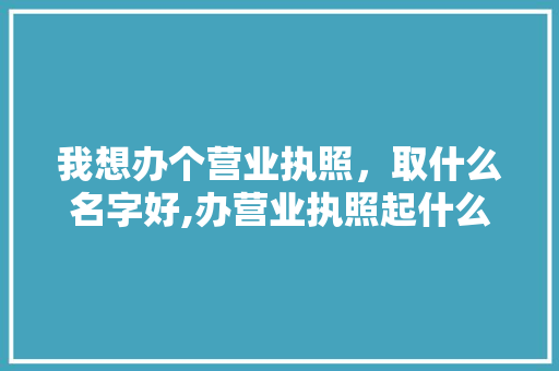 我想办个营业执照，取什么名字好,办营业执照起什么名字好一点。