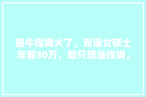 最牛保姆火了，双语女硕士年薪30万，却只想当保姆，怎么回事,肠粉店加盟排行榜前十名。