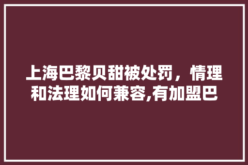 上海巴黎贝甜被处罚，情理和法理如何兼容,有加盟巴黎贝甜的真实案例吗知乎。