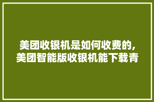 美团收银机是如何收费的,美团智能版收银机能下载青春版吗。