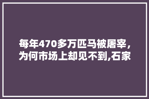 每年470多万匹马被屠宰，为何市场上却见不到,石家庄马小农总部在哪里啊电话。 综合便民