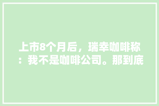 上市8个月后，瑞幸咖啡称：我不是咖啡公司。那到底定位成什么公司,瑞幸咖啡融资模式案例研究。