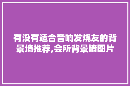 有没有适合音响发烧友的背景墙推荐,会所背景墙图片效果图大全。 健康生活 有没有适合音响发烧友的背景墙推荐,会所背景墙图片效果图大全。 健康生活