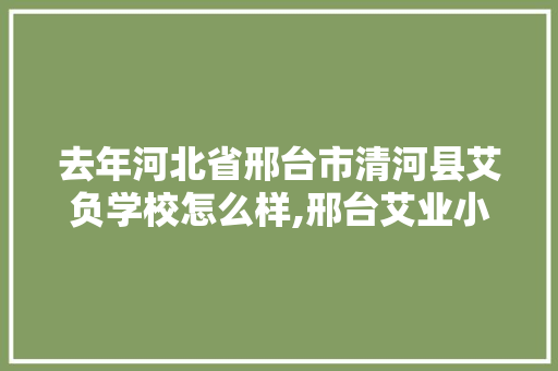 去年河北省邢台市清河县艾负学校怎么样,邢台艾业小吃培训学校怎么样呀多少钱。 综合便民