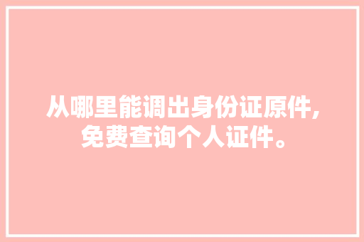 从哪里能调出身份证原件,免费查询个人证件。