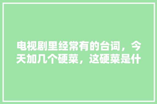 电视剧里经常有的台词，今天加几个硬菜，这硬菜是什么意思,辣小二火锅是全国连锁吗?。