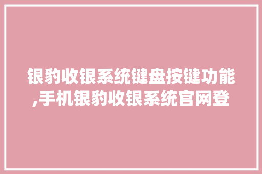 银豹收银系统键盘按键功能,手机银豹收银系统官网登录不了。