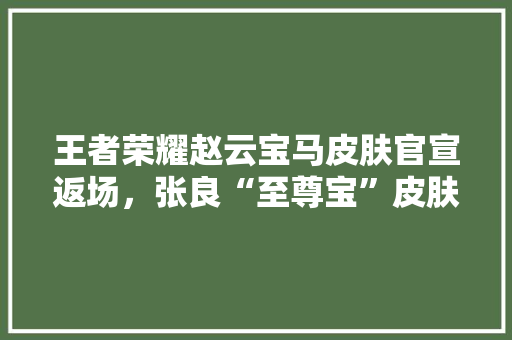 王者荣耀赵云宝马皮肤官宣返场，张良“至尊宝”皮肤6元上架，这些都值得买吗,菜么么小程序如何多人使用。 健康生活