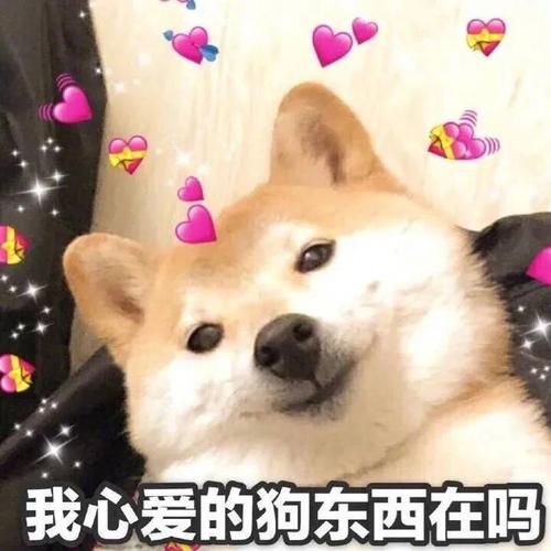 你身边的异性同性都有过什么样的暧昧经历「餐厅培训服务员28步骤」 你身边的异性同性都有过什么样的暧昧经历「餐厅培训服务员28步骤」 综合便民
